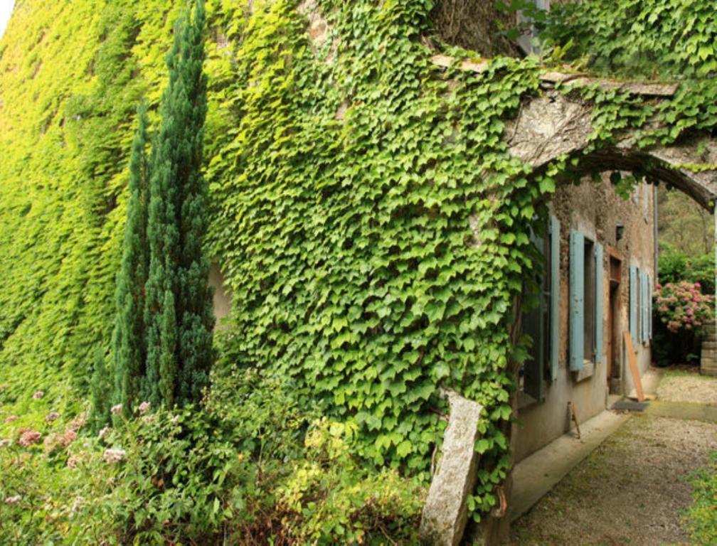 L'Affable Les Cammazes Bed & Breakfast Ngoại thất bức ảnh